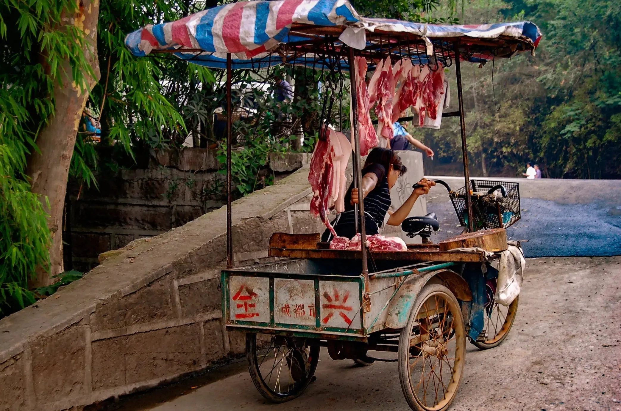 Grit and Resilience: The Meat Cart Woman